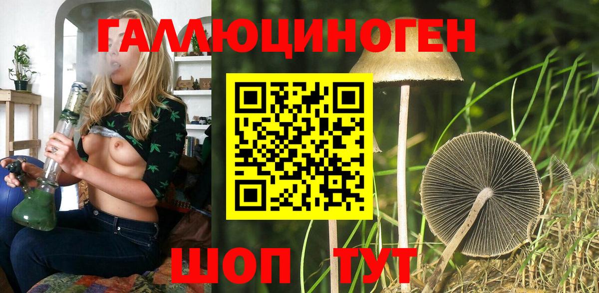 Псилоцибиновые грибы Cubensis Североуральск