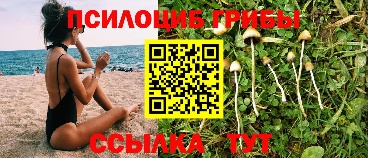 Североуральск  Галлюциногенные грибы мухоморы  Галлюциногенные грибы Psilocybe  Вход с VPN 